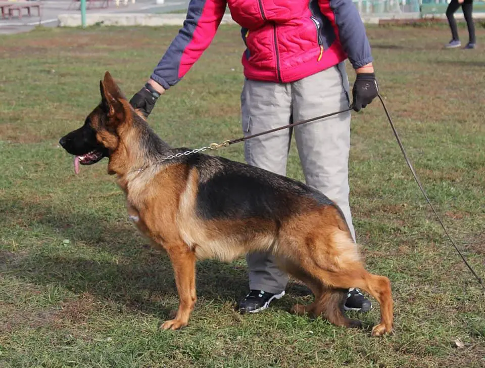 Lege Artis Sensatsiya Veka