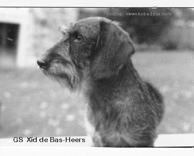 Xid de bas-heers