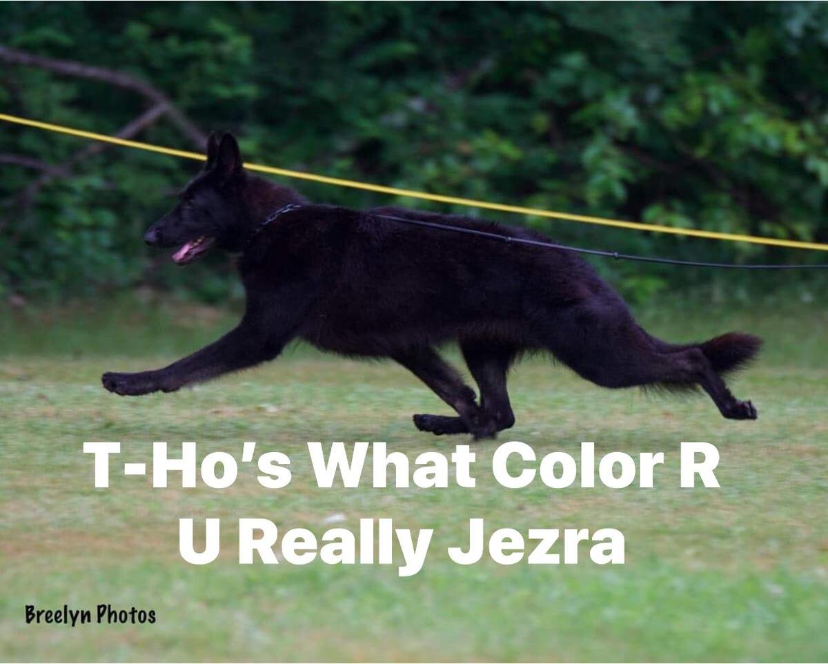 T-Ho's What Color R U Really Jezra