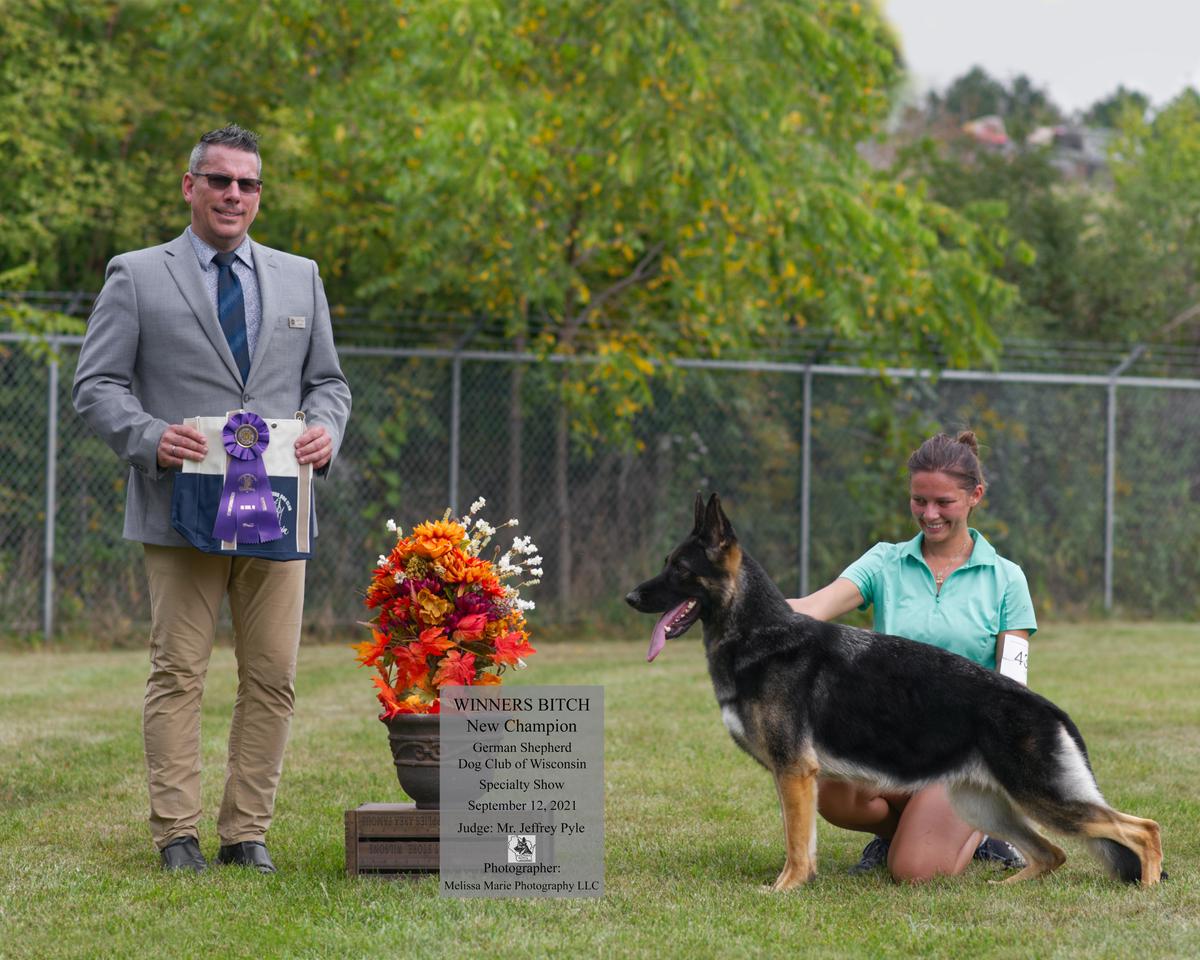 CH Marquis' Dirty Dancer V Kenlyn