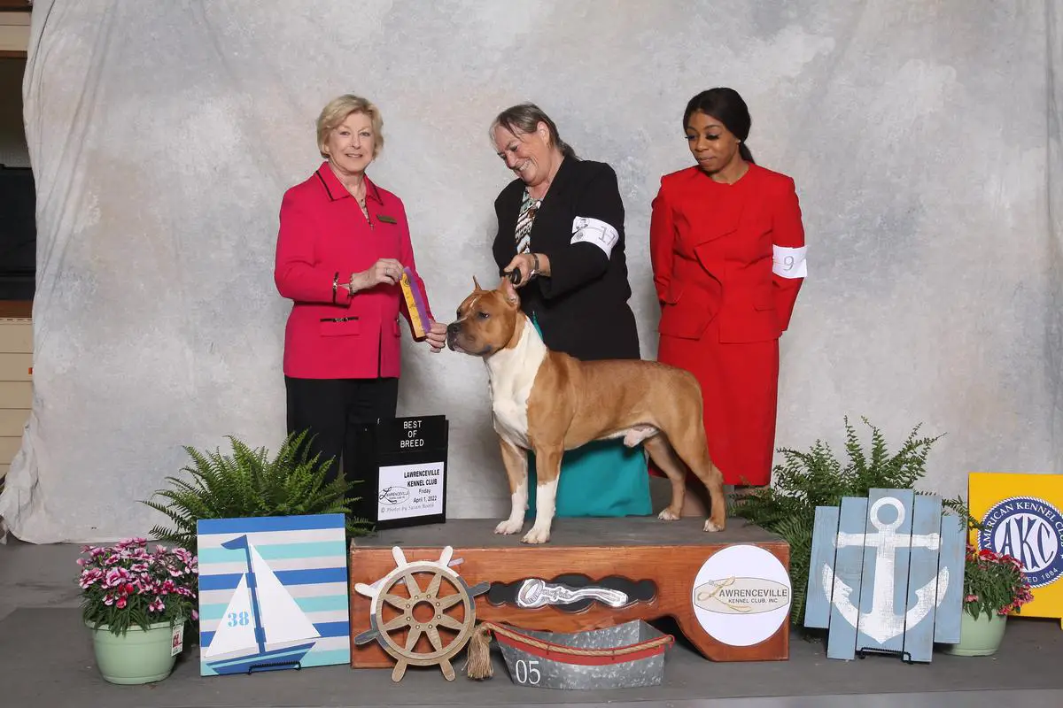 AKC GCH Ynez I Still Believe in Heroes
