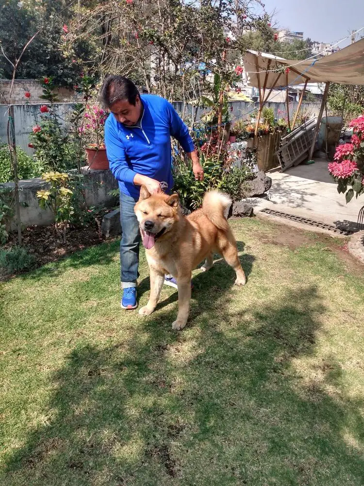 The Ghooster Swagger (Ríos)