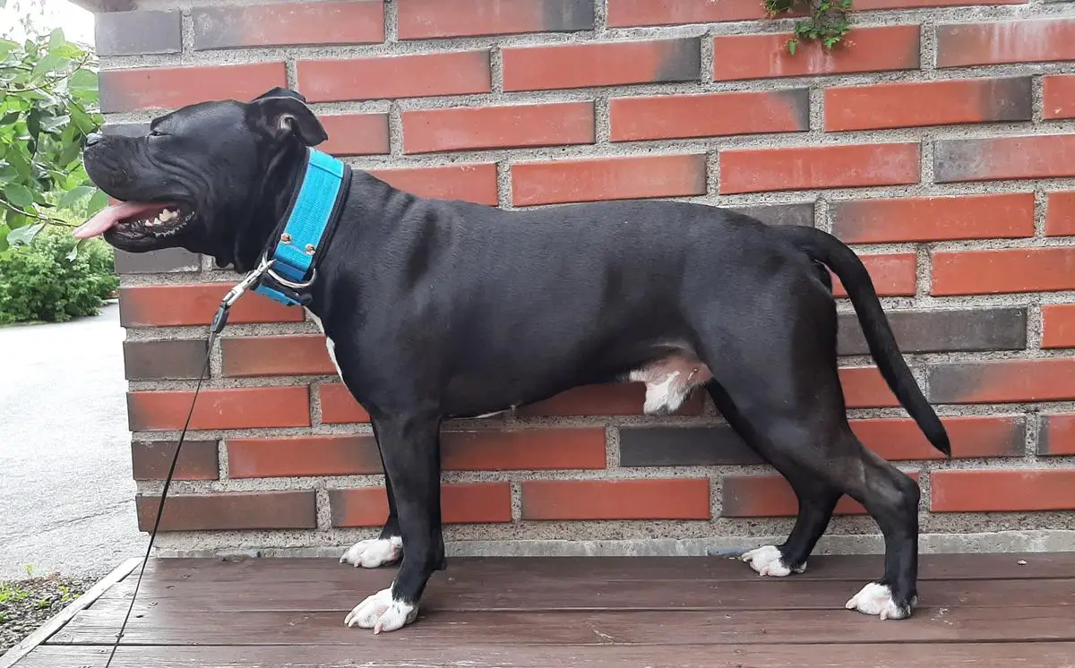 Amalia's Faith All Is Possible