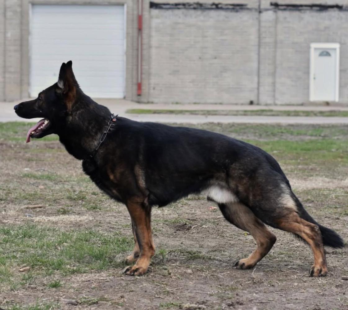 Chranit Vom Kruegerhaus