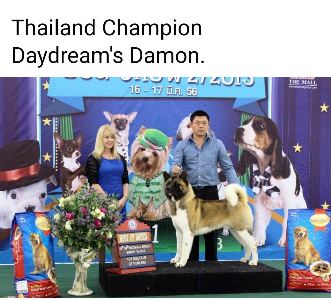 THAI CH DayDream's Damon