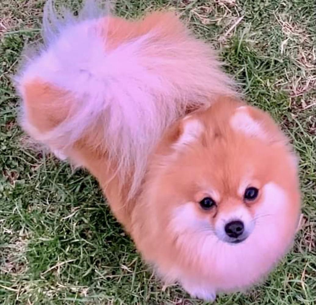 M-J's When you wish upon a Star - Stardust