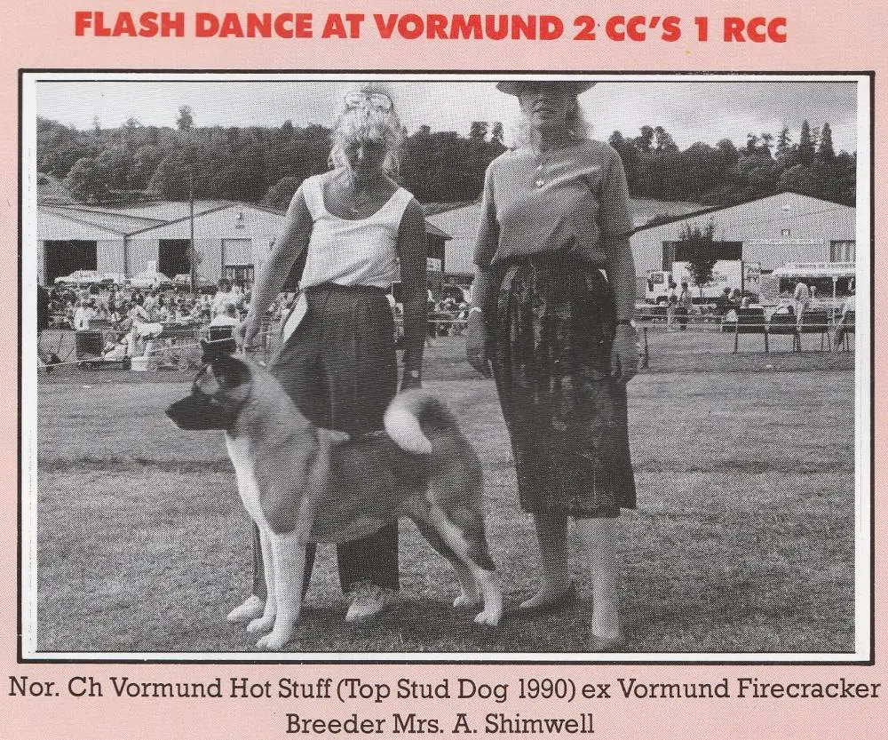 Flash Dance At Vormund