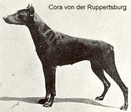 Cora v.d. Ruppertsburg