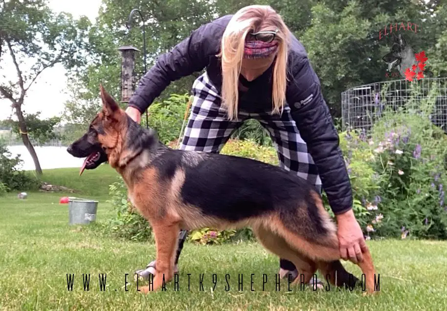 Xena Vom Elhart