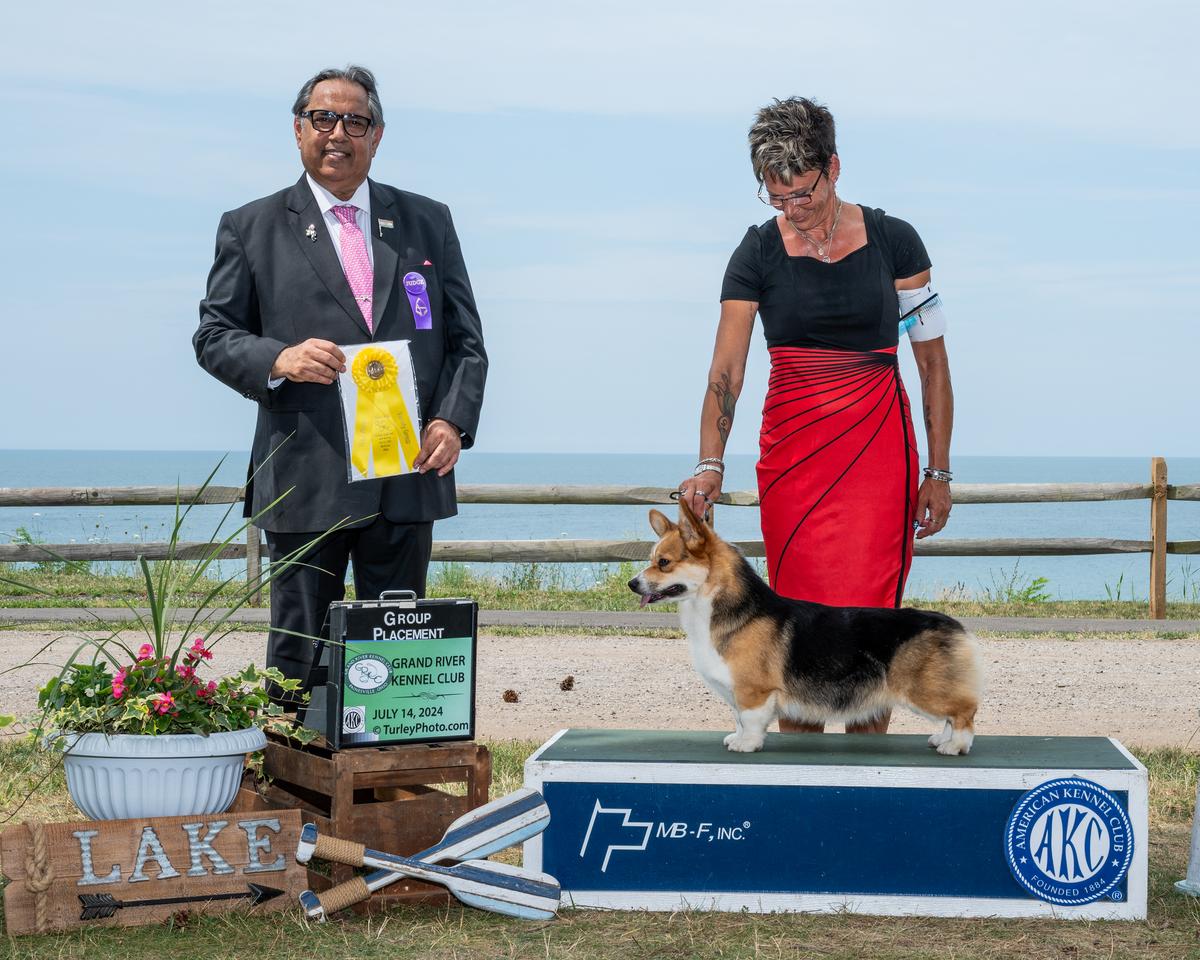 AKC & UKC CH Triple Tac's Alice In Wonderland