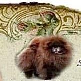 Stolanne's Cuckoo For Cocoa Puffs