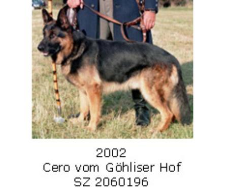 BLH SIEGER 2002 Cero vom Göhliser Hof