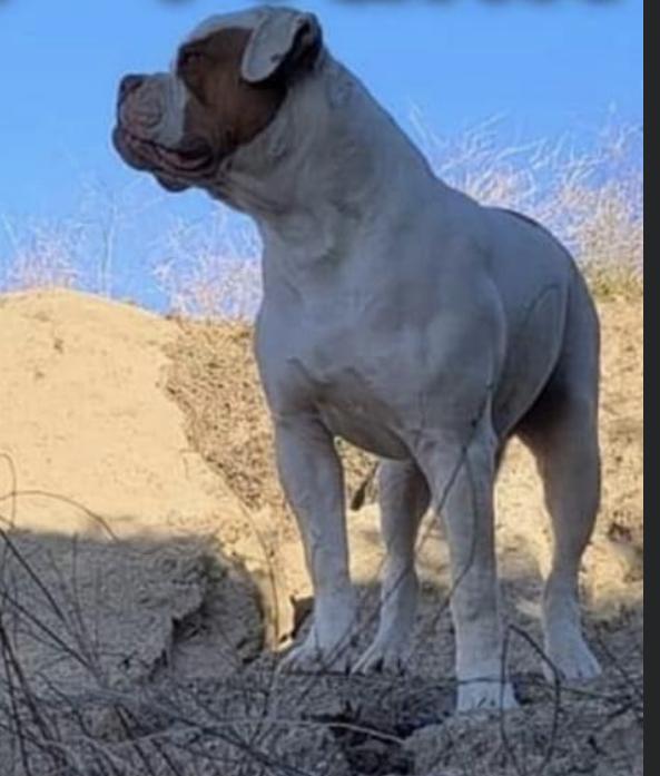 Eaton’s King Frank of World Renowned