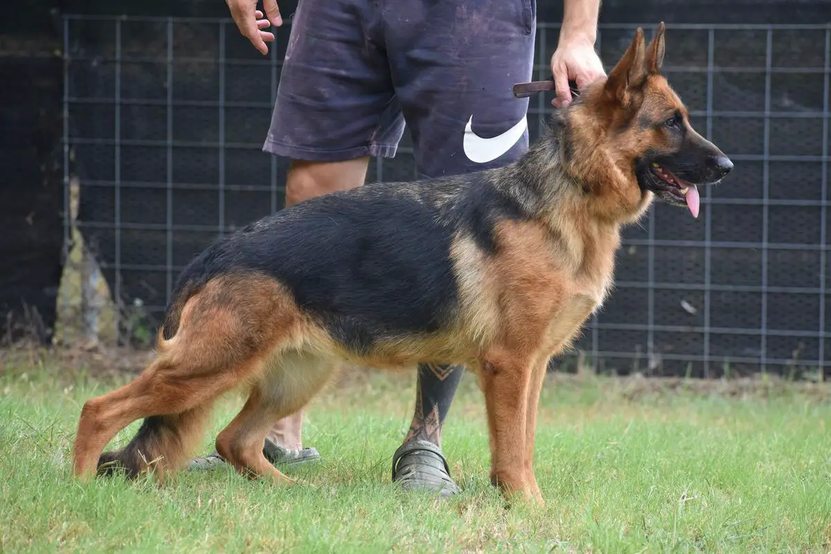 SG Wella Fortuna Haus