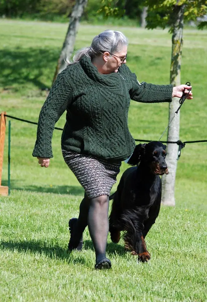 GCH Osage Ridge Hunter’s Grace