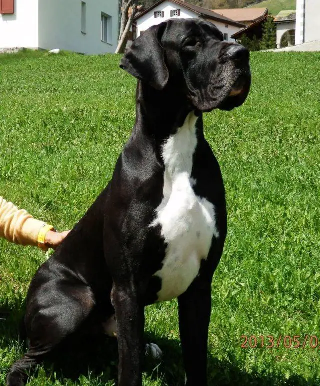 Guet Apens des Habits Rouges