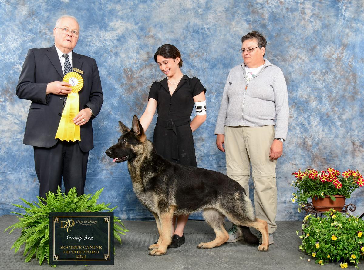 Can.Great Ch Eliseberg Marge Dragon's Dream