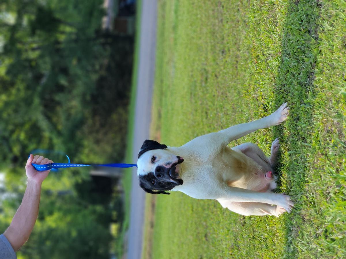 MCK'S Apollo of Daisy May's