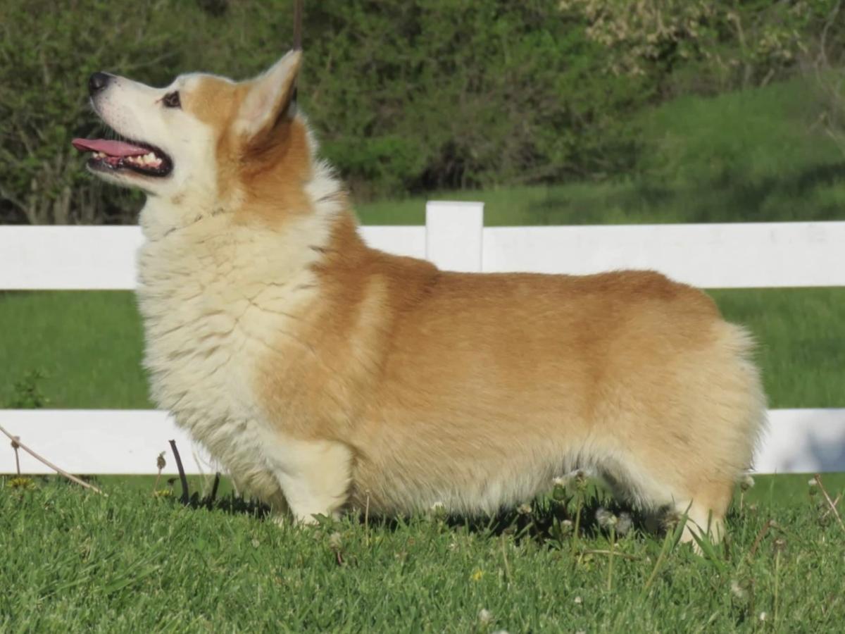 Northstar's Lookin Way Up