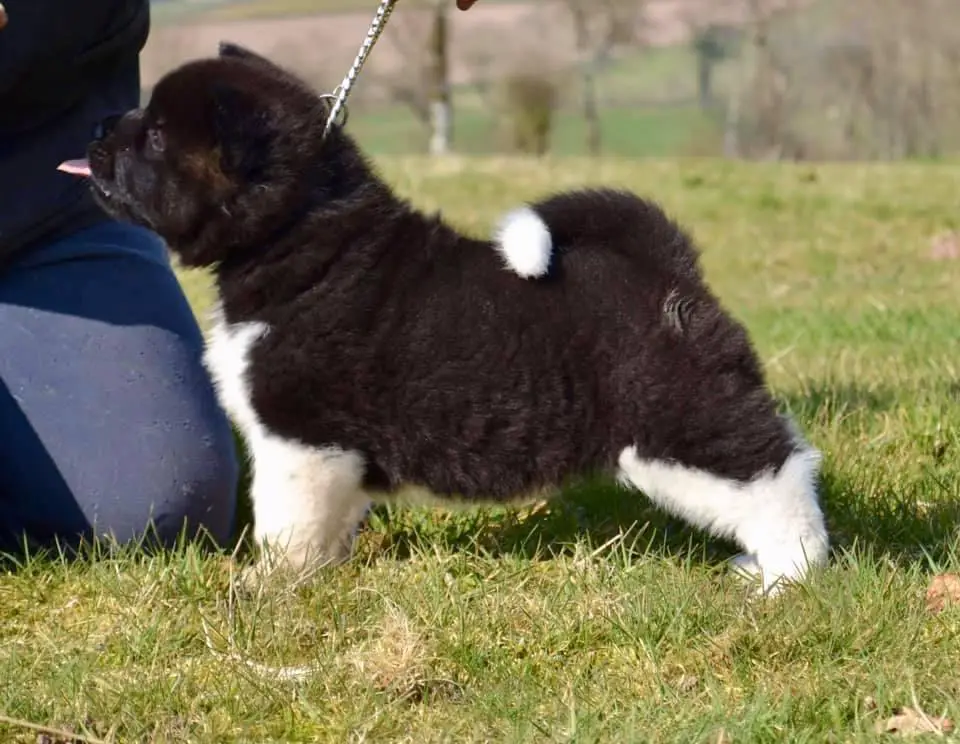 Les Sens Daika Samira