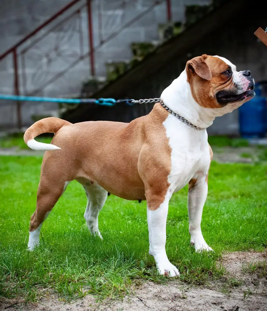 Skegness Love and War