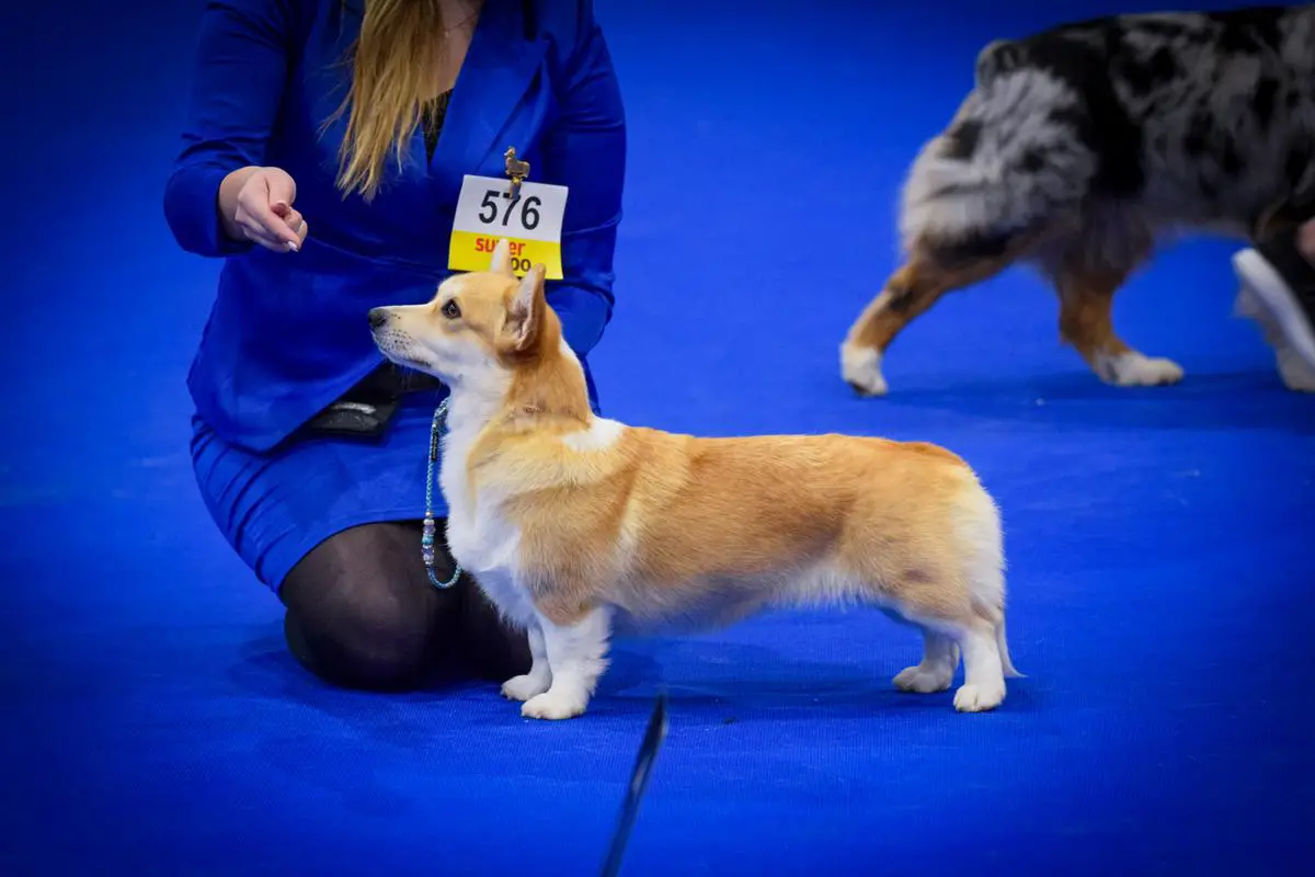 Way Of Winsome Carrie Bradshow