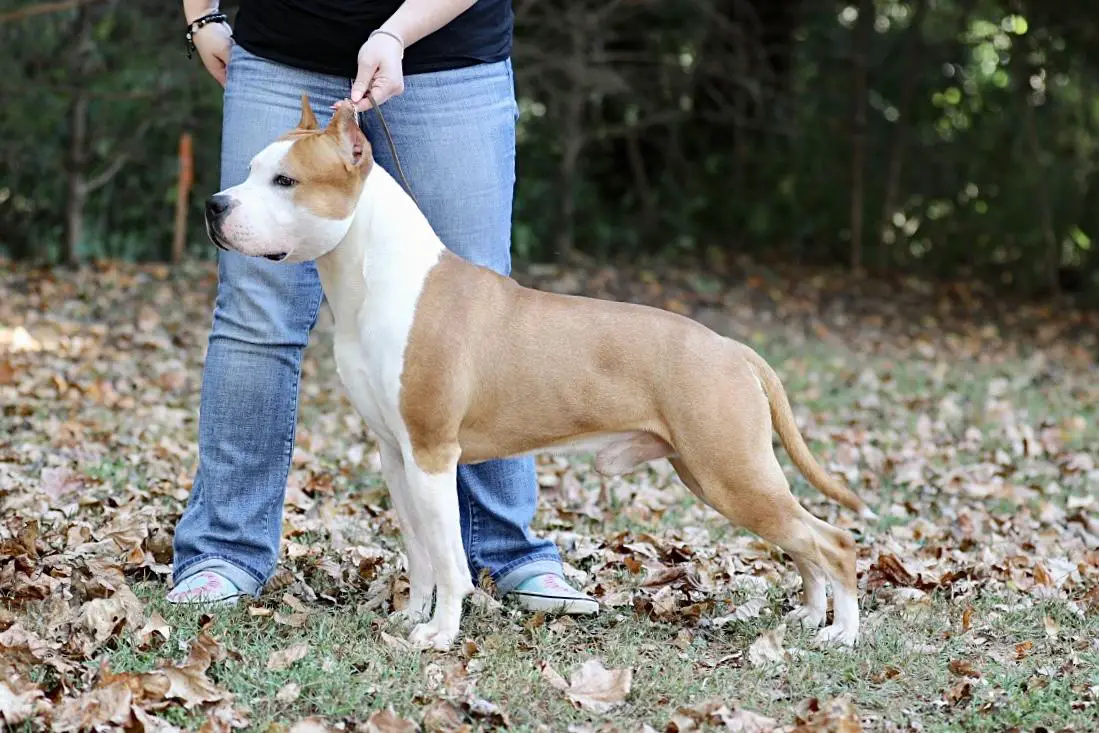 Liberty Lelani's Highest In The Room