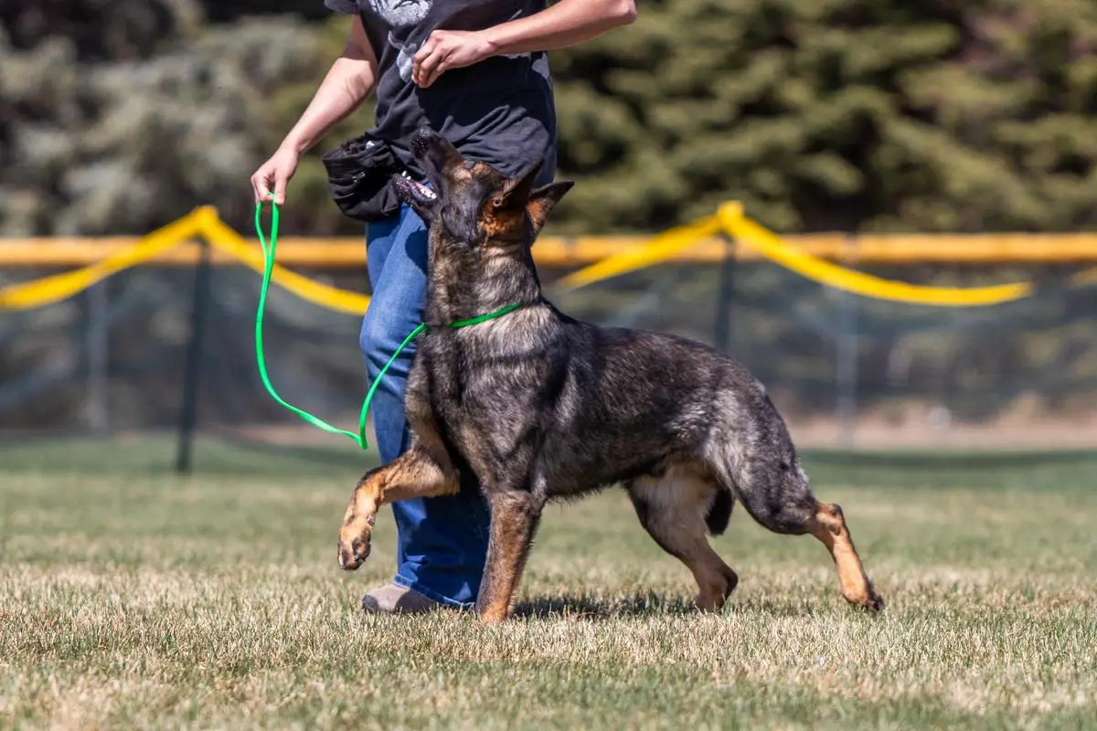 PHILIPPE PATEK MIDOLLYK