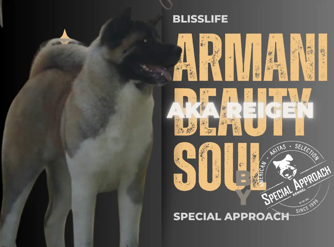 Blisslife Armani Beauty Soul