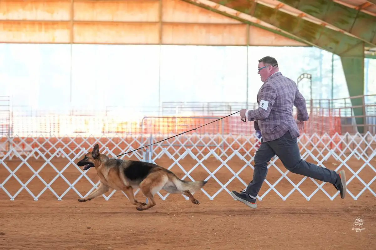 AKC/UKC CH Colbyhaus Whiskey Tango Foxtrot