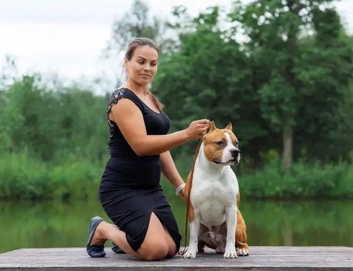 TAIGER LAND LISTER SHTORM