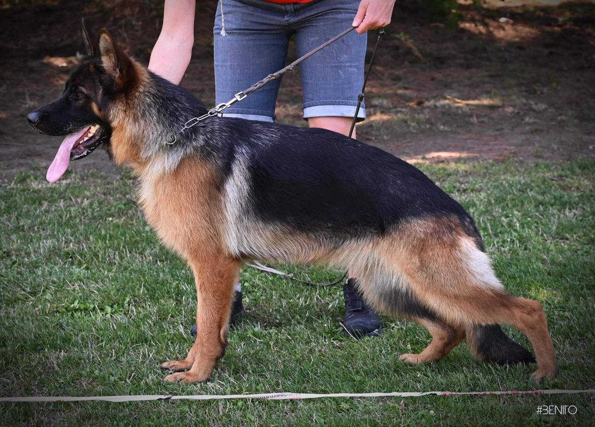 SG Emma von Tankgraben