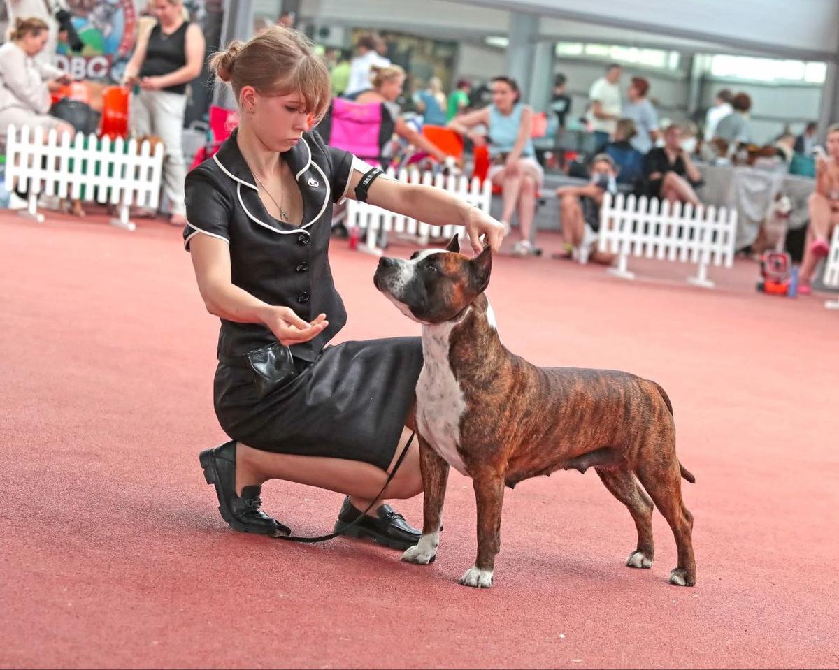 JChRus RUS NEVADA PALMIRA