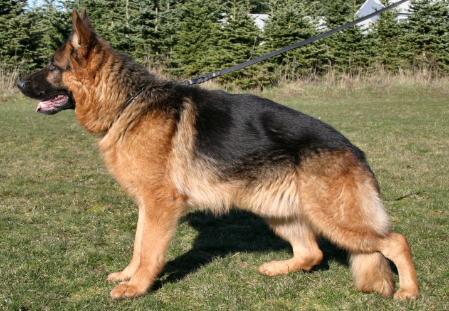 Marco von der Maleiche