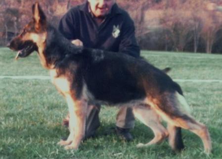 V (LGZ) Ilka vom Bräuker Bach