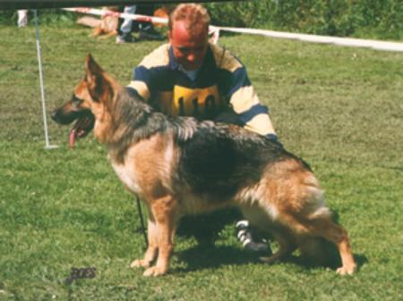 V (NL) Festa van het Boombos
