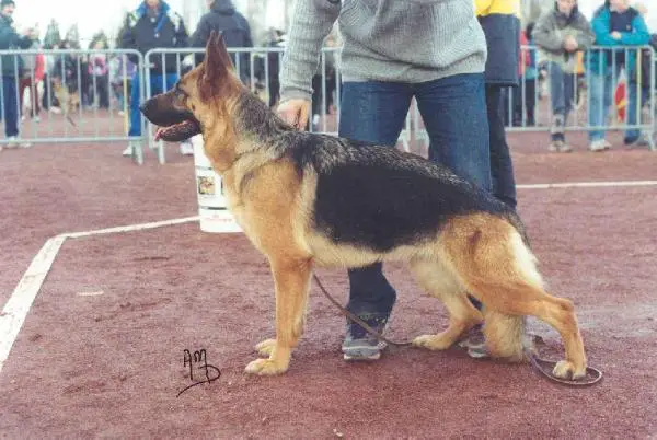 V Naty de la Huche Normande