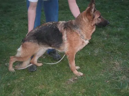 V Odjy du Val D'Anzin