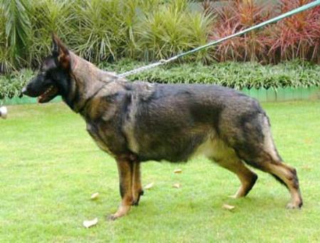 Jade v. Grubenländer Schupo
