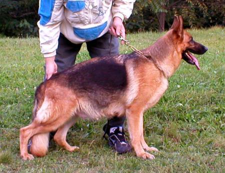 V Amie vom Haus Ka-Re