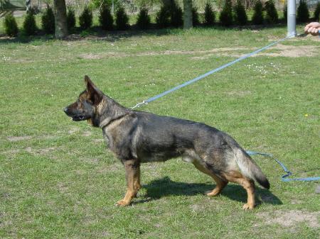 Paco von Seewaldshausen