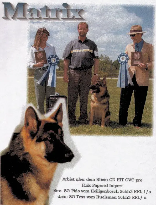 Arbeit über dem Rhein (Aber Dem Rhein)