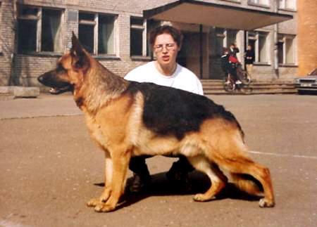 V(LV) Cliff alten Schloss