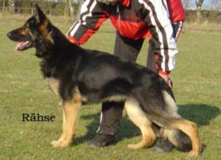 SG Aqua von der Donnerbrücke