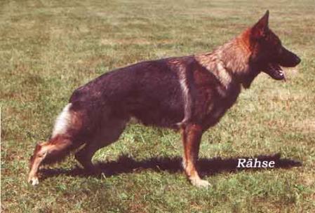 SG Akku von der Donnerbrücke