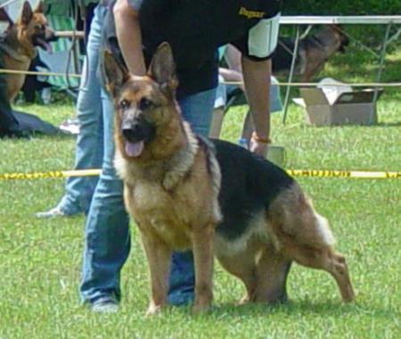 V Dora von der Rommelsbach