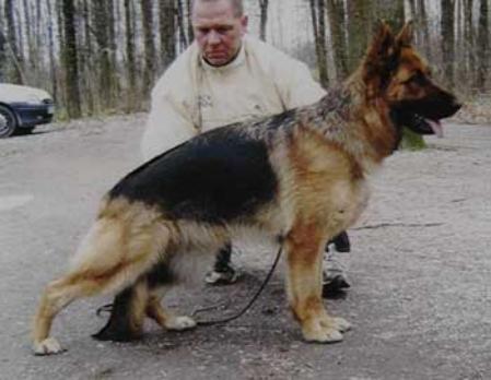 Aischa von Fenrir