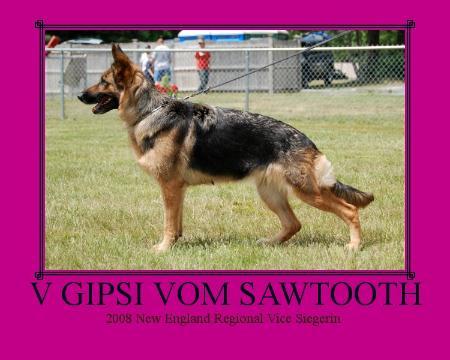 V Gipsi Vom Sawtooth