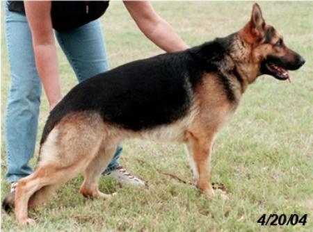 Mikah von Draggahaus