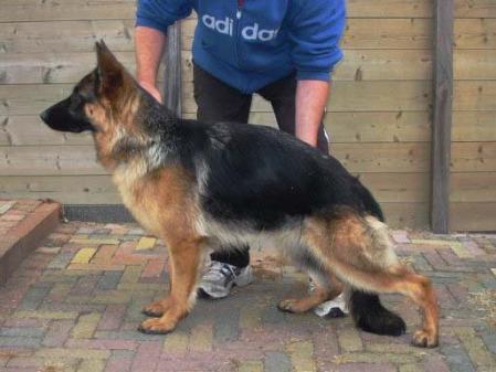 Malta vom Rivergreen